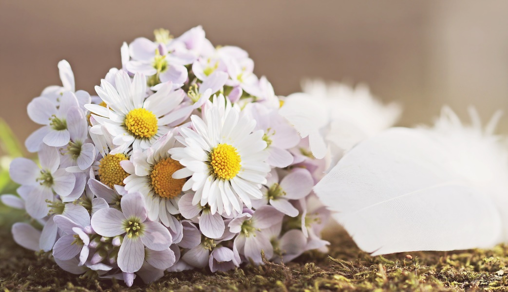 Floristería día del padre